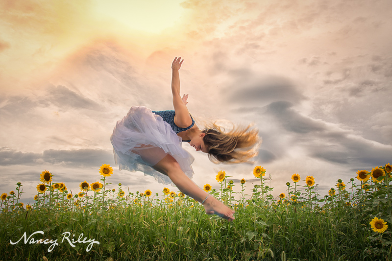 senior dancer sunflowers