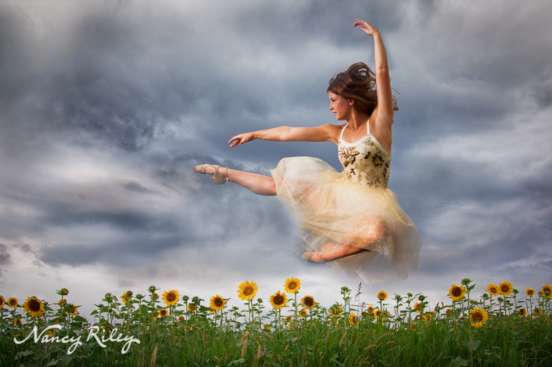 senior dancer sunflowers