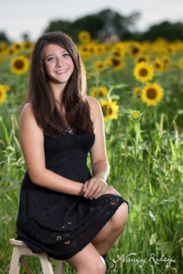 sunflower senior