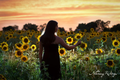 sunflower senior